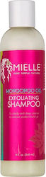 Mielle Organics Хидратиращ Шампоан 240ml Mielle Organics Хидратиращ Шампоан 240ml