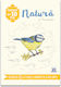 Didactica Publishing House Pictură