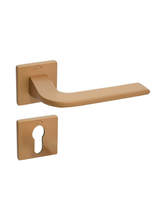 Convex Middle Door Lever With Rosette Single Pair Satin Gold