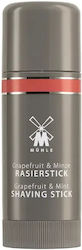 Muhle Stick Ξυρίσματος 37gr