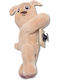 Crocs Jibbitz Charm Καφέ