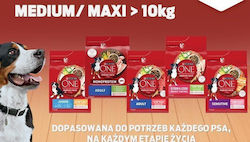 Purina One 7kg Dry Dog Food with Chicken and Rice Purina One 7kg Dry Dog Food with Chicken and Rice