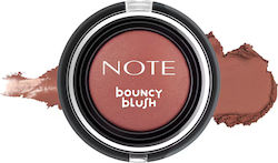Note Ρουζ Sunkiss 7gr