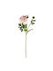 Pink Buttercup 18 × 50 Cm