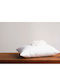 Perna Pat Silicon 50x70cm