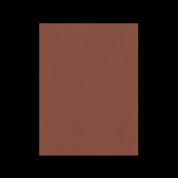 Favini Papier- und Kartonbestände 70x100cm 220gr Nr.11 Braune Schokolade Favini Papier- und Kartonbestände 70x100cm 220gr Nr.11 Braune Schokolade
