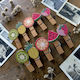 Wooden Clothespins Fruit 35mm 10 Pack 7dis153
