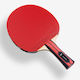 Ping Pong Racket Butterfly Champion-44906901011135