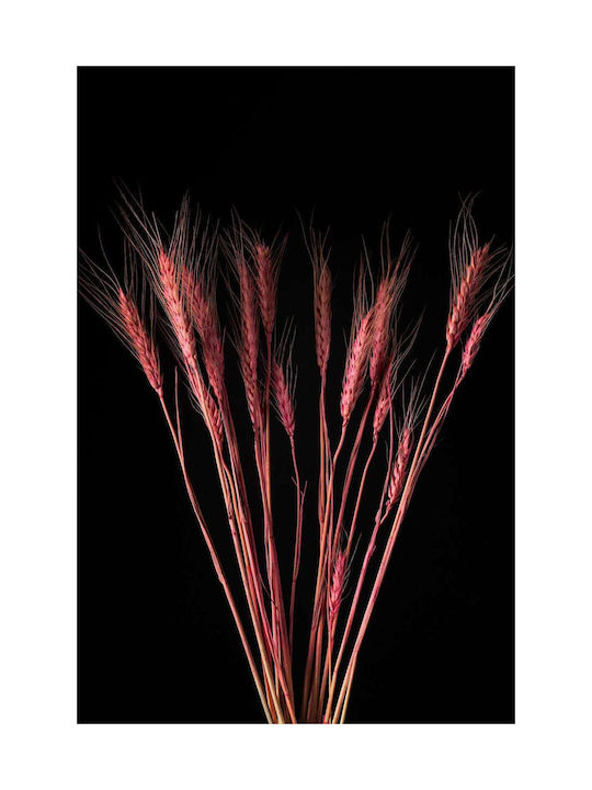 Floare Roz De Grâu Uscată Plantă 60cm