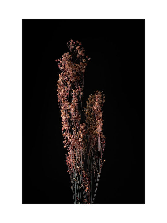 Floare Uscată De Gips Roz 60cm