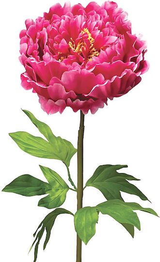 Fuchsie Zweigstelle Pfingstrose Stiel Φ22x90cm 12 Stücke