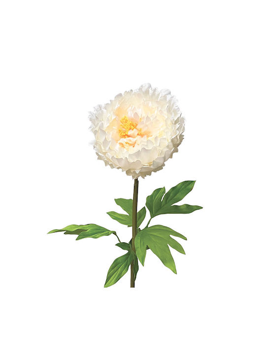 Εκρου Κλαδι Παιωνια Κοτσανι Φ22x90cm 12/κιβ