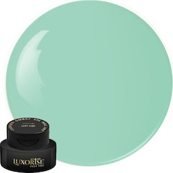 Gel UV Nagelkunst Babyboomer Luxorise Kissen Om...