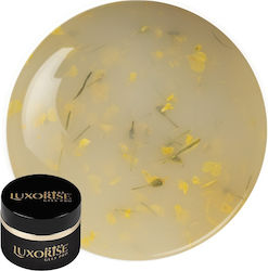 Gel Uv Constructie Unghii Revoflex Floral Luxor...