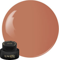 Gel UV Nagelkunst Babyboomer Luxorise Kissen Om...