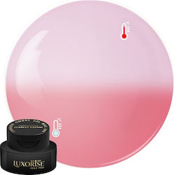 Gel UV Nagelkunst Babyboomer Luxorise Kissen Om...