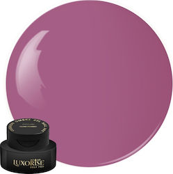 Gel UV Nagelkunst Babyboomer Luxorise Kissen Om...