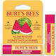 Burt's Bees Lippenpflege Balsam Wassermelone 4,25 g