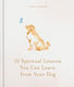 10 Spiritual Lessons You Can Learn From Your Dog: Essential Life Lessons We Can Learn From Our Furry Friend Joanna Sandsmark Godsfield Press Ltd
