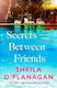 Secrets Between Friends: ‘a Warm, Sensitive Story About The Power Of Female Friendship . . . And The Joy Of Second Chances’ Lucy Diamond Sheila O'flanagan Headline Review