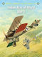 Italian Aces Of World War 1 Paolo Varriale