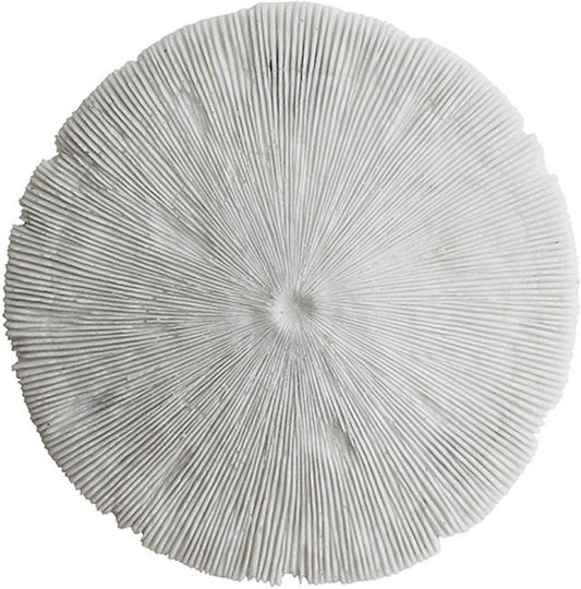 Decorative Coral Wall 35cm