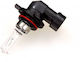 Maxgear Lampa Auto HIR2-9012 Halogen 12V