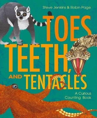 Zehen Zähne Und Tentakel Ein Neugieriges Zählbuch Steve Jenkins Kleine Junge Leser