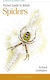 Pocket Guide To British Spiders Richard Lewington Bloomsbury Wildlife