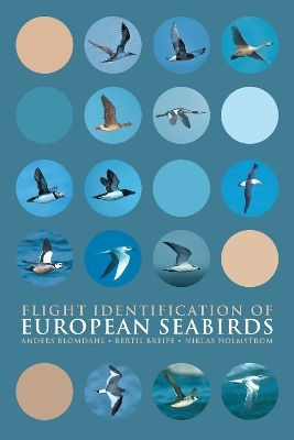 Flight Identification Of European Seabirds Niklas Holmstrom Helm