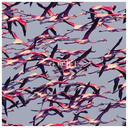 Deftones Gore 1 Cd Deftones Gore 1 Cd