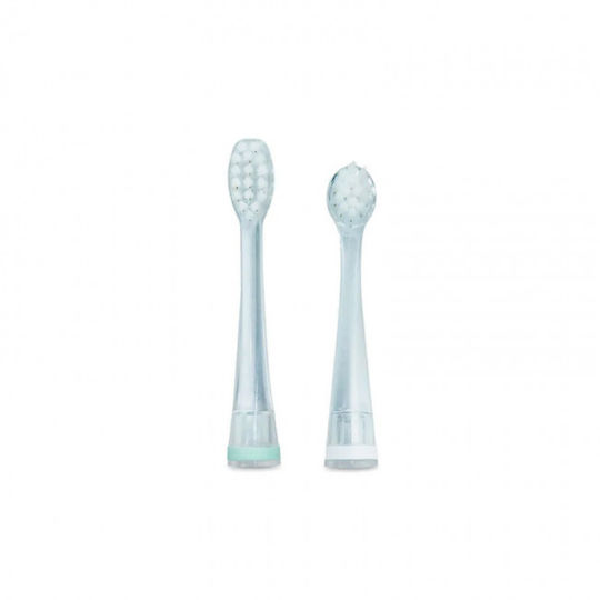 Miniland Spare Part for Electric Toothbrush for 2+ Years