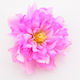 Elastic de Păr Floare Bujor Violet