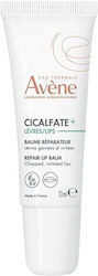 Eau Thermale Avène Cicalfate+ Lippenbalsam Für Kinder 12ml Eau Thermale Avène Cicalfate+ Lippenbalsam Für Kinder 12ml