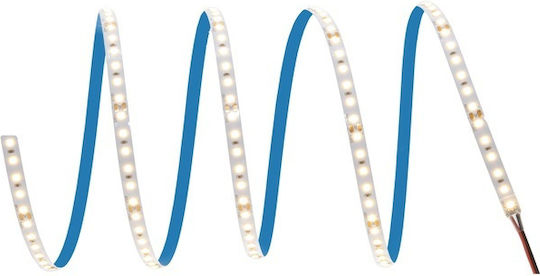 Ledvance LED-Streifen 24V Warmweißes Licht 5m
