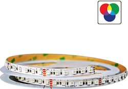 Vivalux LED Лента RGB 5м