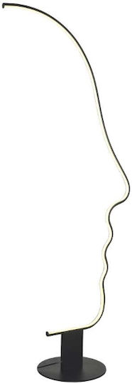 Leggenda Denver LED Black Floor Lamp Leggenda Denver LED Black Floor Lamp