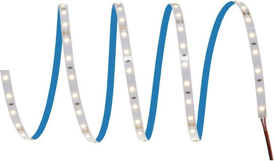 Ledvance Ταινία LED 24V Ψυχρό Λευκό Φως 5m