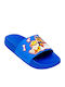 Kids' Flip Flops Blue