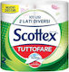 Scottex Küchenpapier 2 Rollen 5029053021409