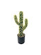 65cm Artificial Decorative Cactus Potted Plant 81044