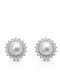 Paraxenies Silver Stud Earrings with Stones & Pearls