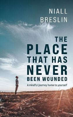 The Place That Has Never Been Wounded: A Mindful Journey Home To Yourself Niall Breslin John Murray One