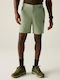Herren Shorts Mint