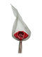 Room Decor from Ceramic Material 15x10x50cm