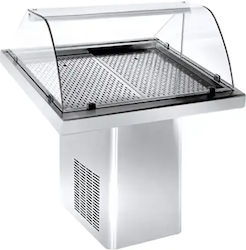 Niki Inox Ψαριέρα Υ120xΠ290xΒ90cm CCVI.F9100S.1 Niki Inox Ψαριέρα Υ120xΠ290xΒ90cm CCVI.F9100S.1