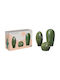 JK Home Decor Cacti Porcelain 9x18-10x9-8x16cm S/3