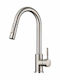 Tema Küchenarmatur Zähler mit Abnehmbare Dusche Silber