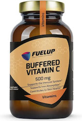 Fuel Up Vitamin C 500mg 120 Kräuterkapseln 1 Kapsel Fuel Up Vitamin C 500mg 120 Kräuterkapseln 1 Kapsel