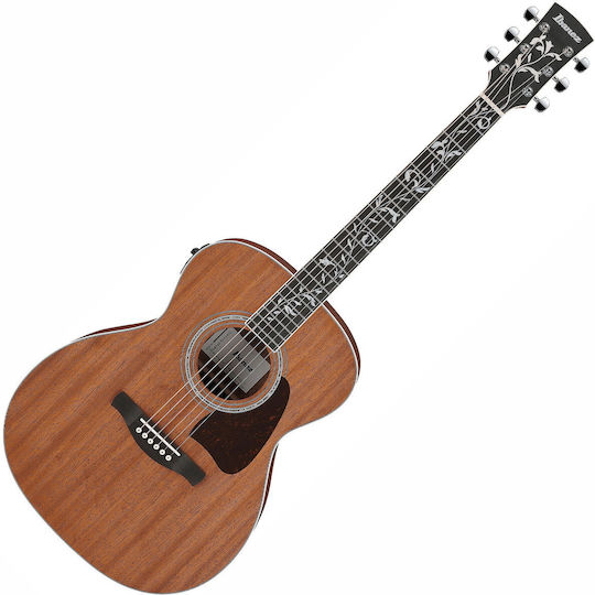 Ibanez Semi-Acoustic Guitar Opn Open Pore